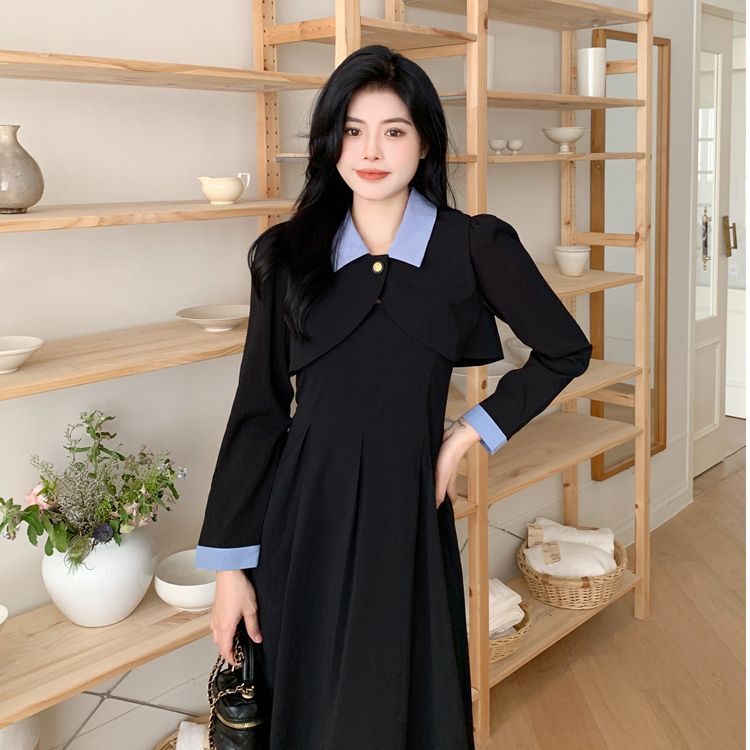 官图【两件套】大码微胖mm短款外套上衣女百褶a字吊带连衣裙子 官图【两件套】大码微胖mm短款外套上衣女百褶a字吊带连衣裙子